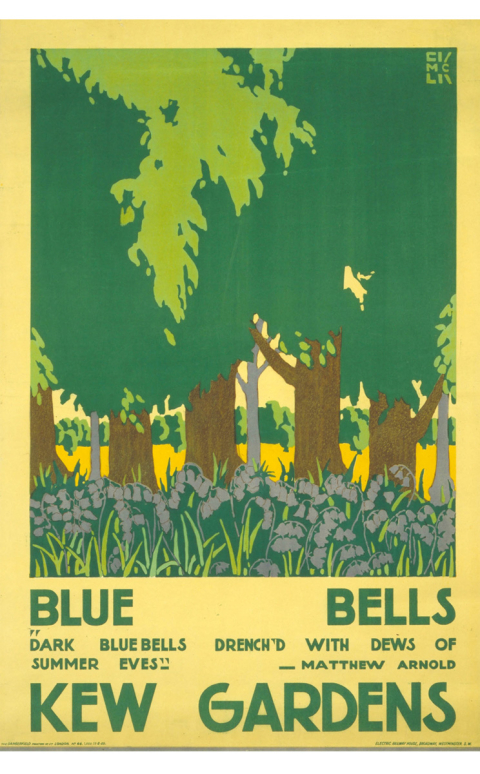 Bluebells Kew Gardens Limited Edition Print A2