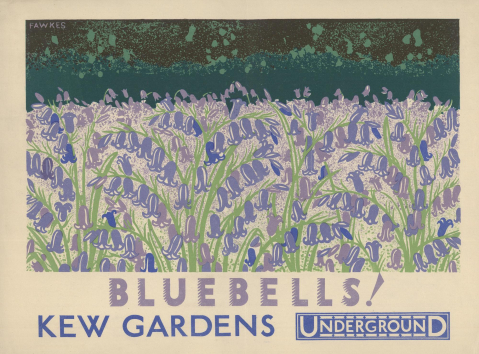 Bluebells! Kew Gardens, by Fawkes, 1930