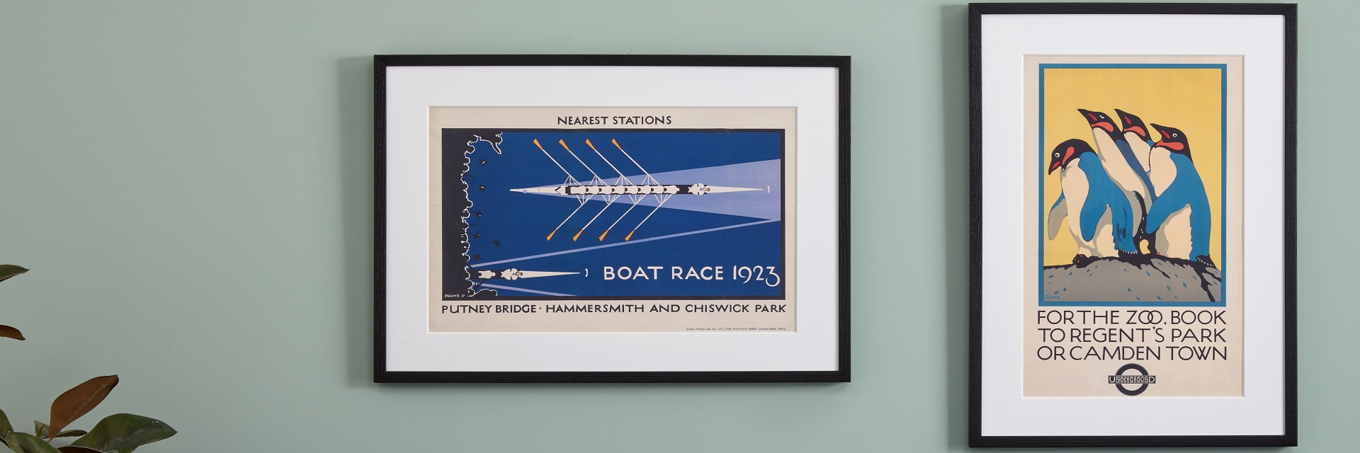 Light blue wall with framed boat race and penguins posters mounted